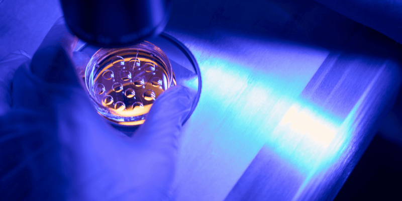 quality of eggs and sperm in ivf
