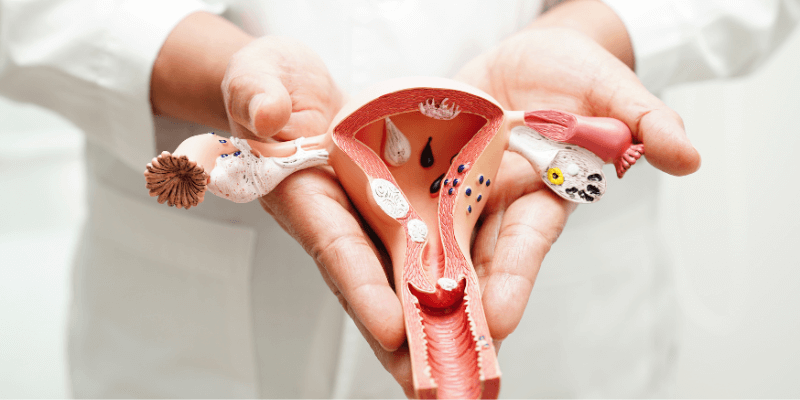 uterus health for ivf
