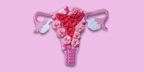 uterus
