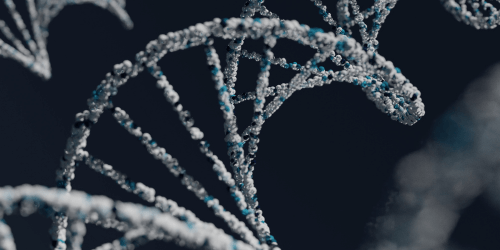 DNA Fragmentation test