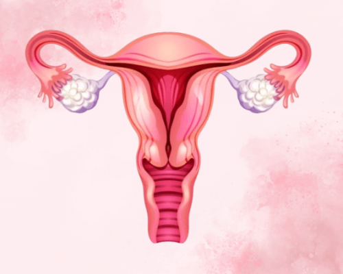 Endometrial Receptivity Analysis ERA